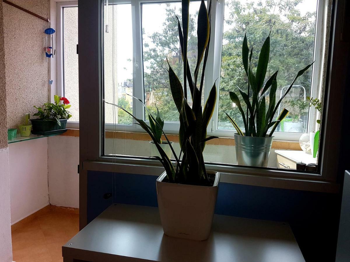 Blue Room София Экстерьер фото